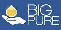 big-pure-logo