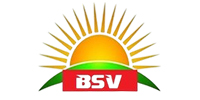 bsv-png-logo